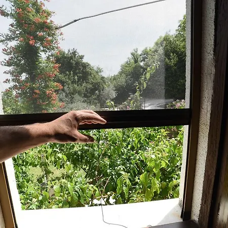 Alloggio per agriturismo La Valle Degli Ulivi