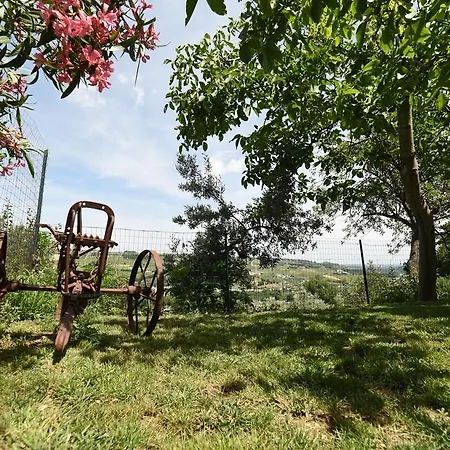 La Valle Degli Ulivi