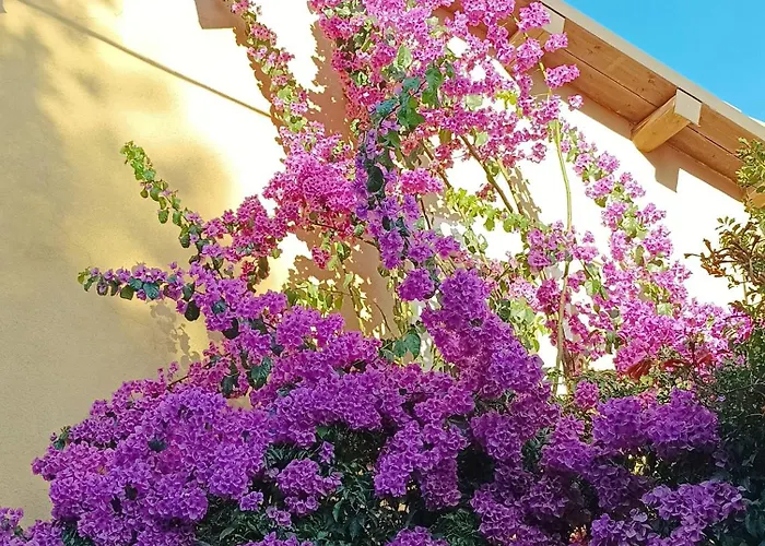 La Valle Degli Ulivi Alloggio per agriturismo