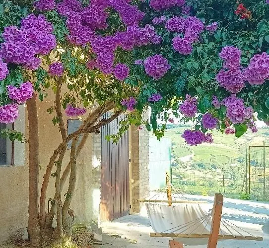 La Valle Degli Ulivi