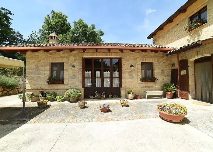 La Valle Degli Ulivi Vacri