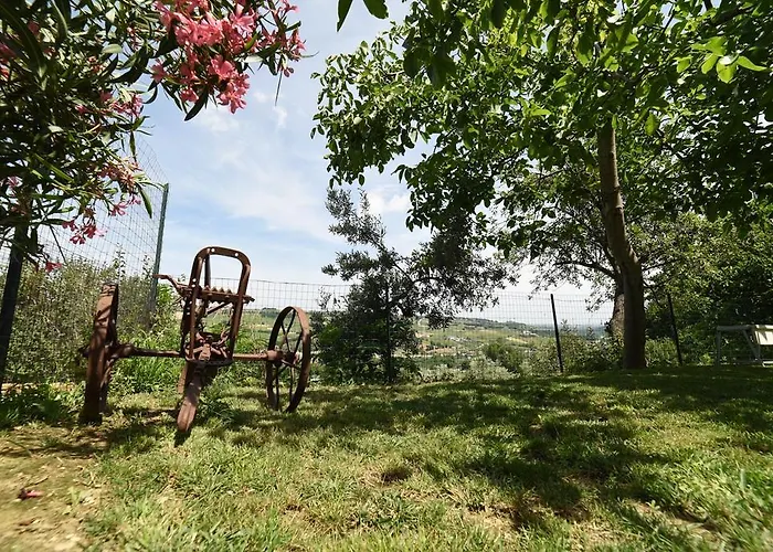 La Valle Degli Ulivi