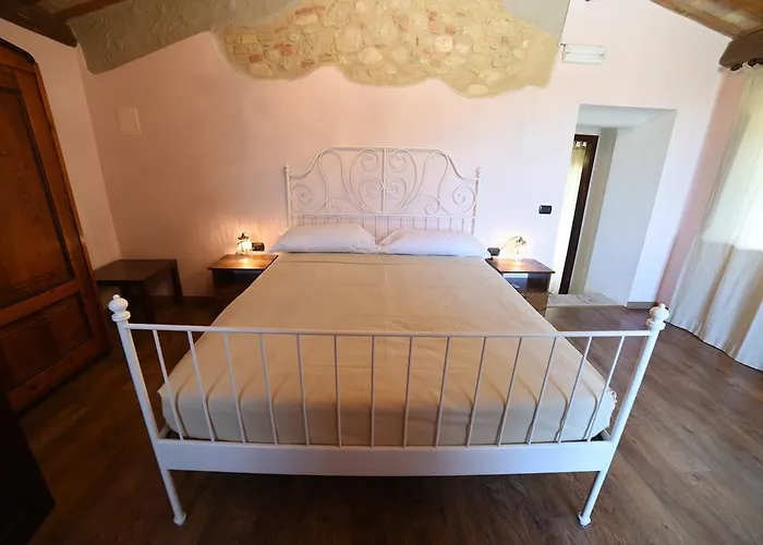 La Valle Degli Ulivi Vacri