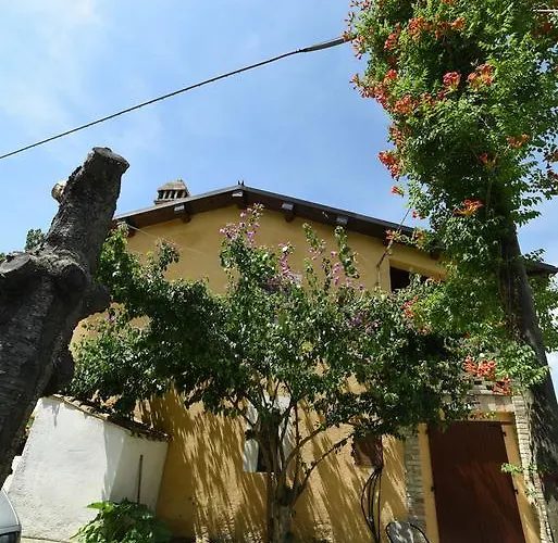 La Valle Degli Ulivi Vacri